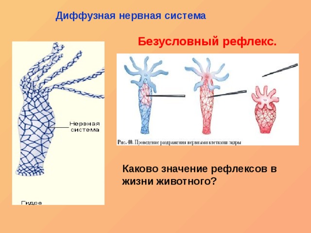 Рабочая ссылка на blacksprut