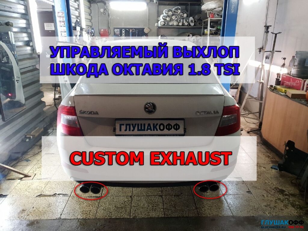 Фото 232 — Ремонт впускной системы и форсунок Skoda Octavia